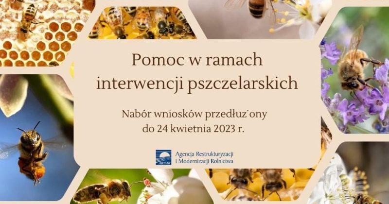 Nabór wniosków o dofinansowanie w ramach 3 interwencji pszczelarskich finansowanych z budżetu Planu Strategicznego dla Wspólnej Polityki Rolnej na lata 2023-2027 został przedłużony do 24 kwietnia 2023 r.